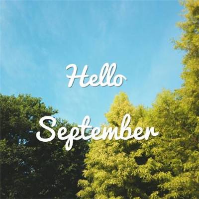 你是我的盘中餐2