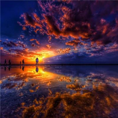 疯狂小鸟双人版